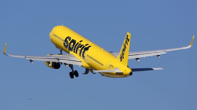 No passengers were injured but one flight attendant was reportedly grazed by a bullet. Photo / 123rf