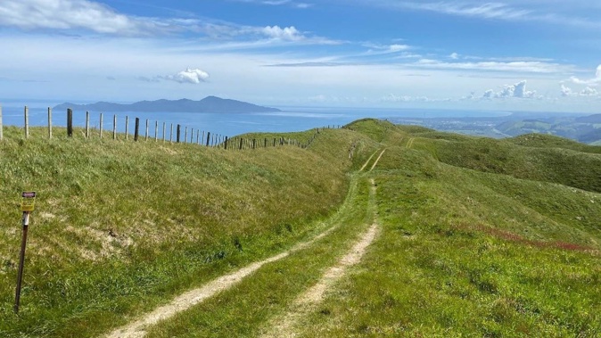 More trails are being made next to Transmission Gully, including connecting Battle Hill to the Gasline Track.