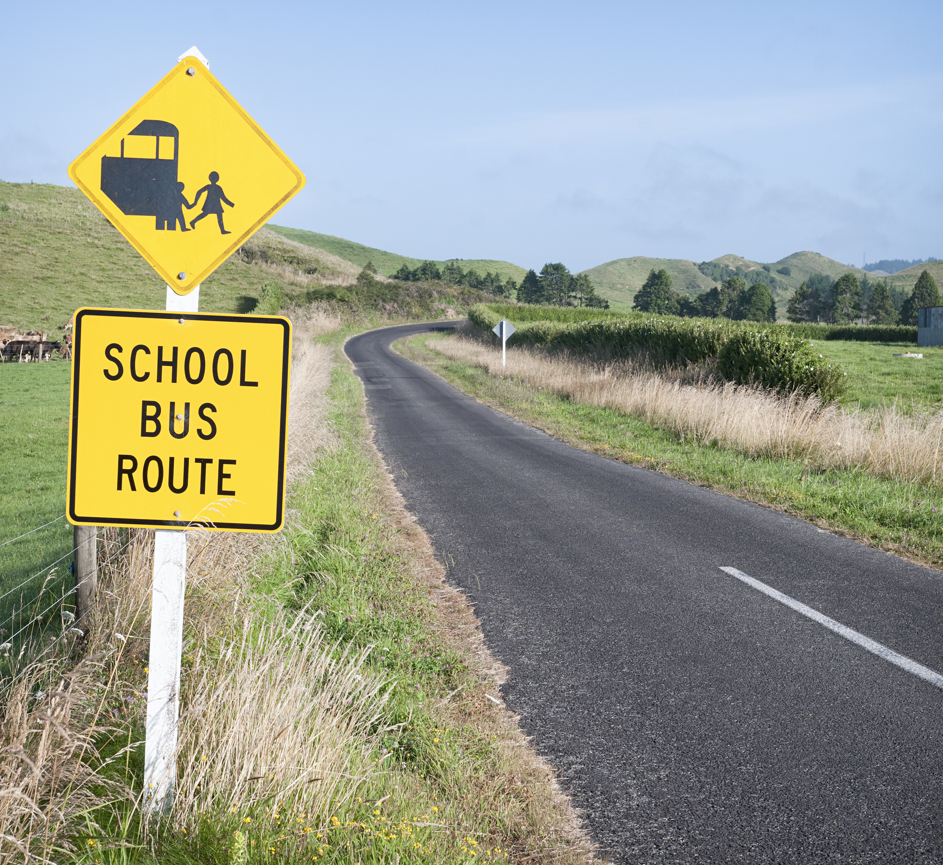 'We're scrambling': Gisborne school bus route cut sparks parental outcry 