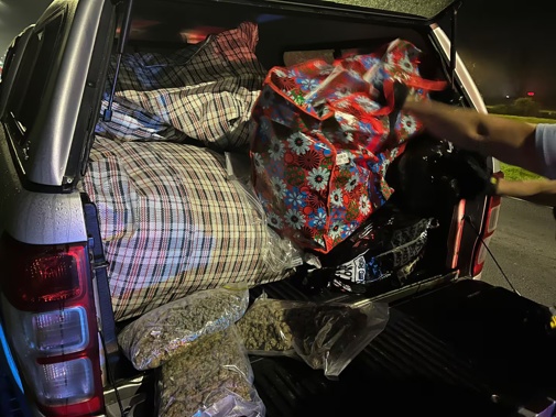 Auckland police found nearly $800,000 worth of cannabis, 65kg, during a traffic stop in Flat Bush on Wednesday evening. Photo / New Zealand Police