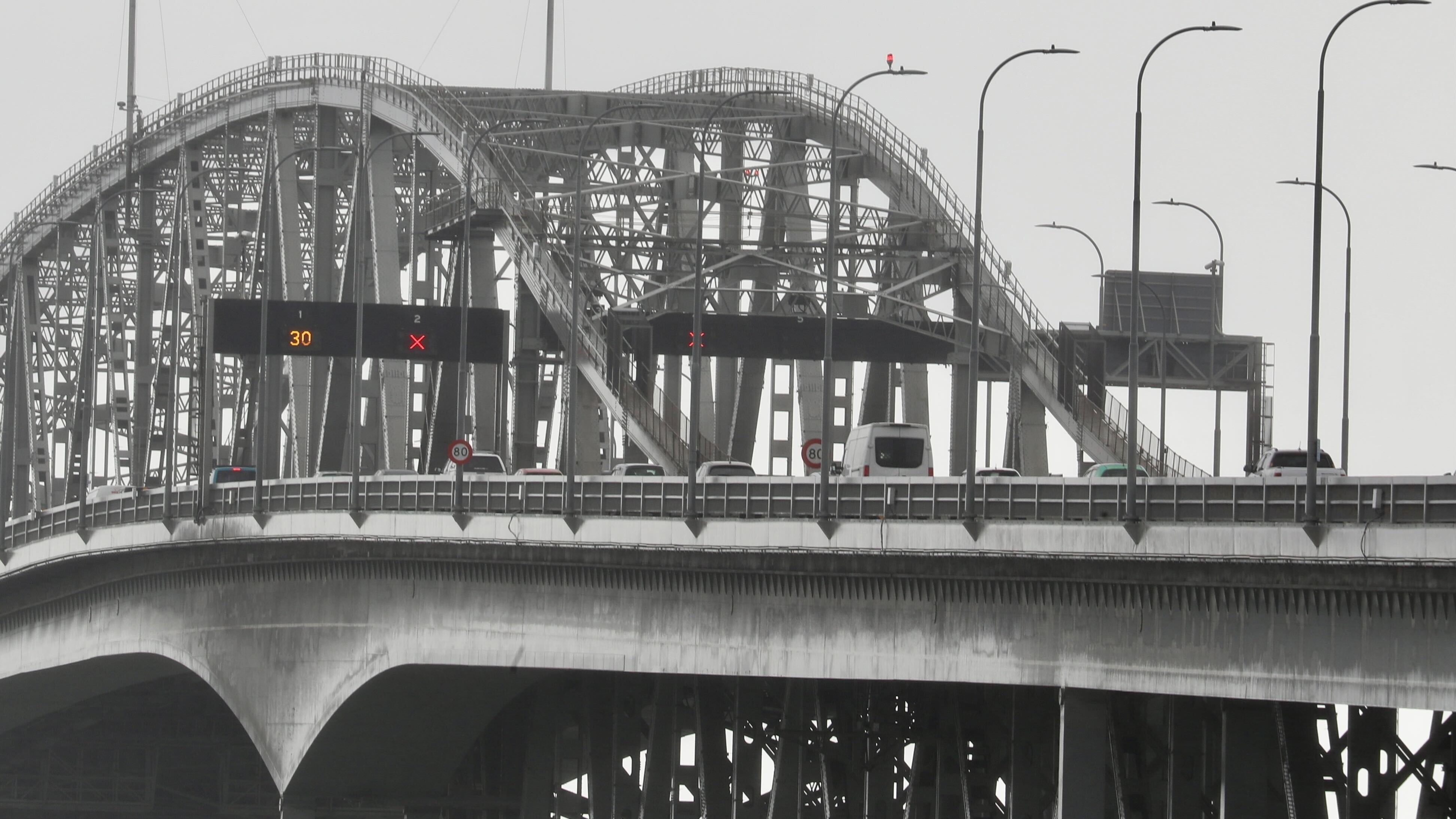 Police plan to be across a protest route that’s set to travel for nearly 30km, crossing the Auckland Harbour Bridge.  Photo / Michael Craig