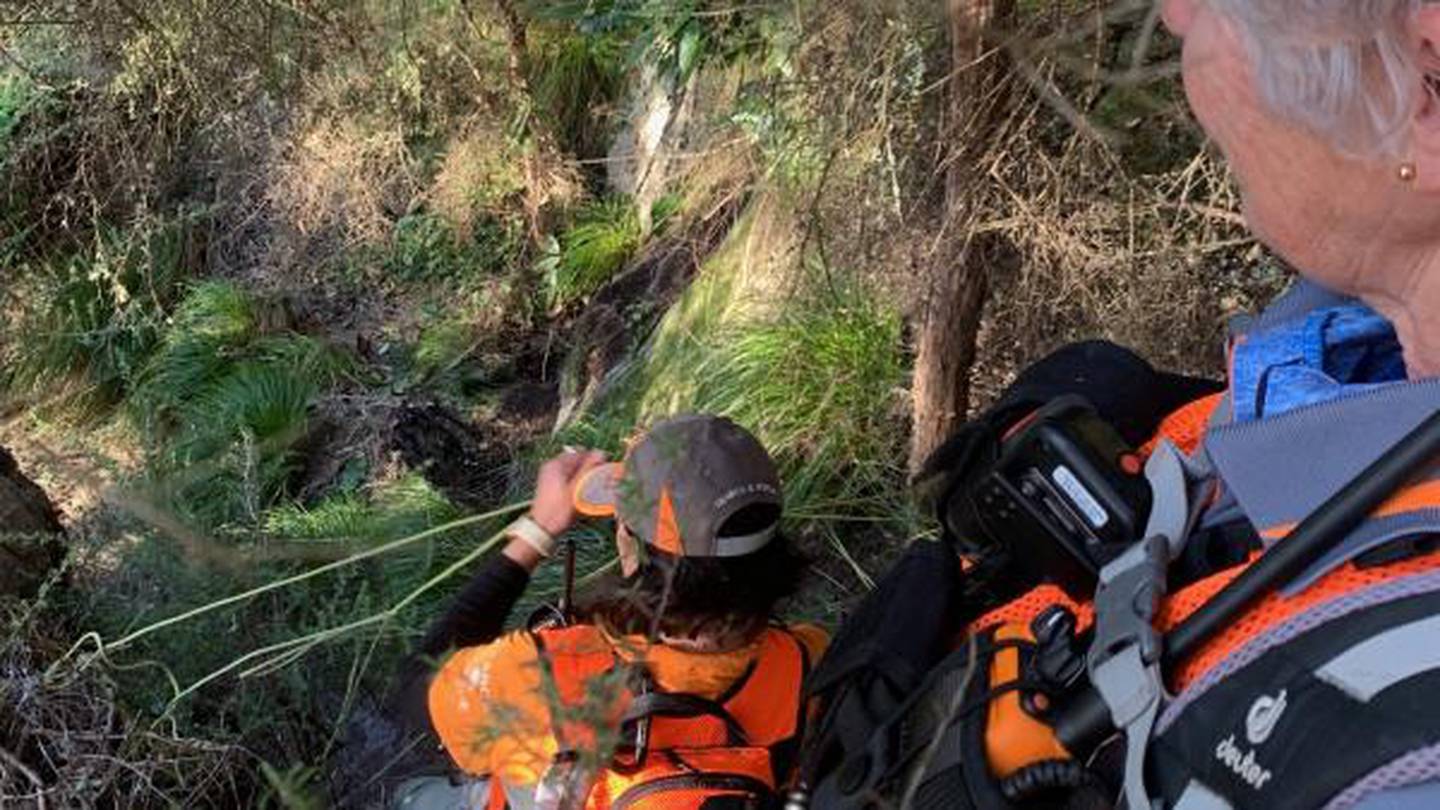 The search for Taupō woman Jan-Marie Burton. Photo / Supplied