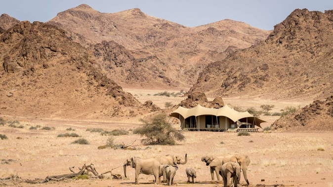 Elephants often congregate near Wilderness Safaris' Hoanib Skeleton Coast tented camp. Photo / Wilderness Safaris
