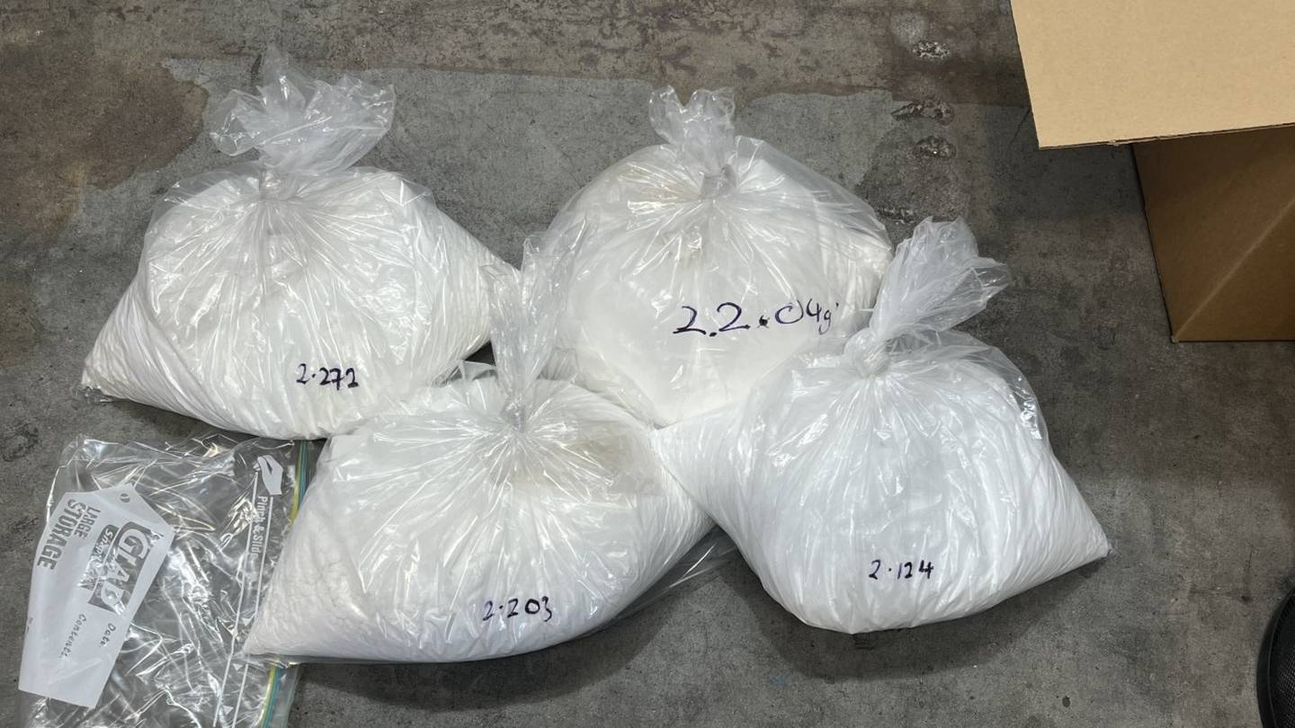 Bags of cocaine seized as part of the operation. Photo / Police