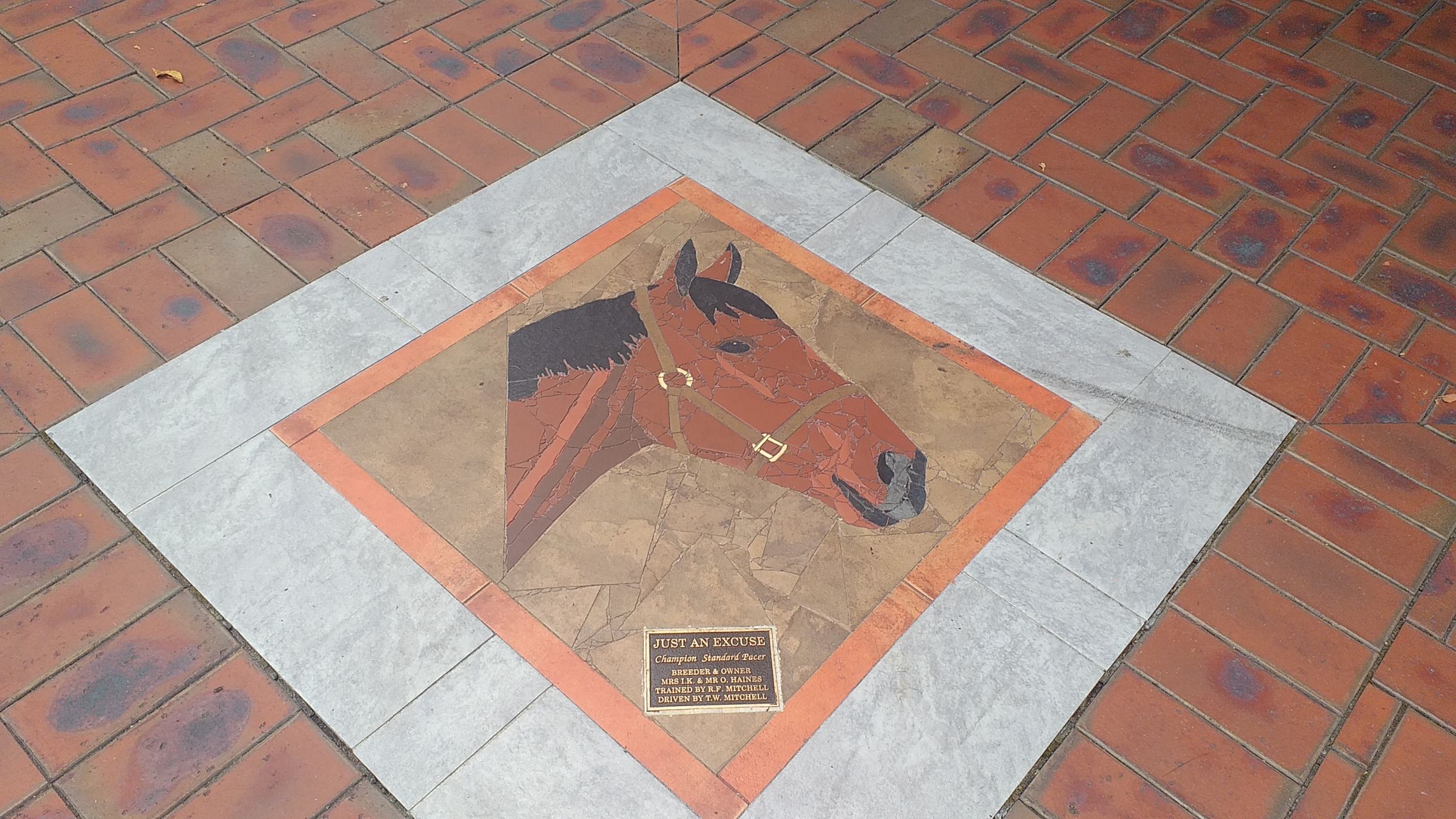 Mike Yardley: Town and Country delights in Waikato