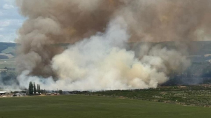 Emergency services were called to a large fire at the Tahorakuri Forest area near Reporoa on Wednesday.