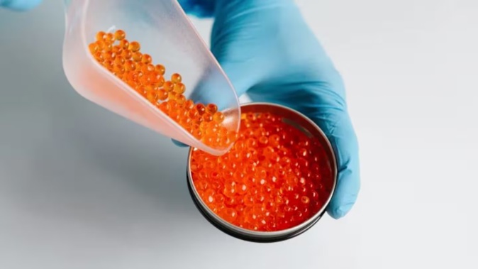 Mt Cook Alpine Salmon's caviar. Photo / Mt Cook Alpine Salmon
