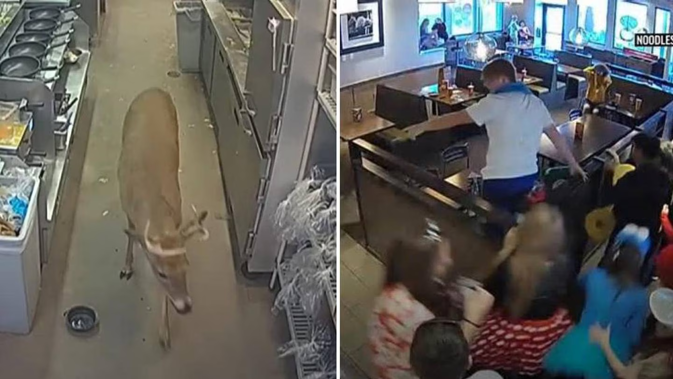 People go to Noodles & Company to save a buck, not to have one interrupt their meal. Photo / AP