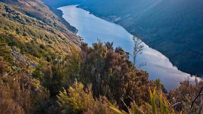 Cobb River Valley in Kahurangi National Park, New Zealand.