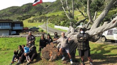 Occupiers moved on to a property on Ahipara’s Wharo Way in October 2021, after a significant pohutukawa tree they believed had been protected by being placed in a reserve was not protected at all.