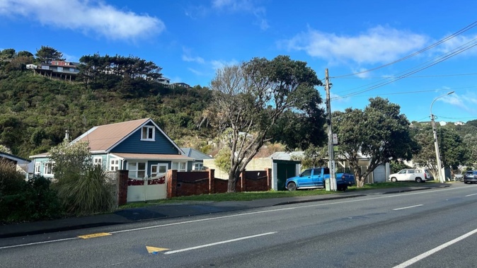 A neighbour said he saw police teams digging the front yard of a property on Happy Valley Road after human remains were found in the garden. Photo / Ethan Manera