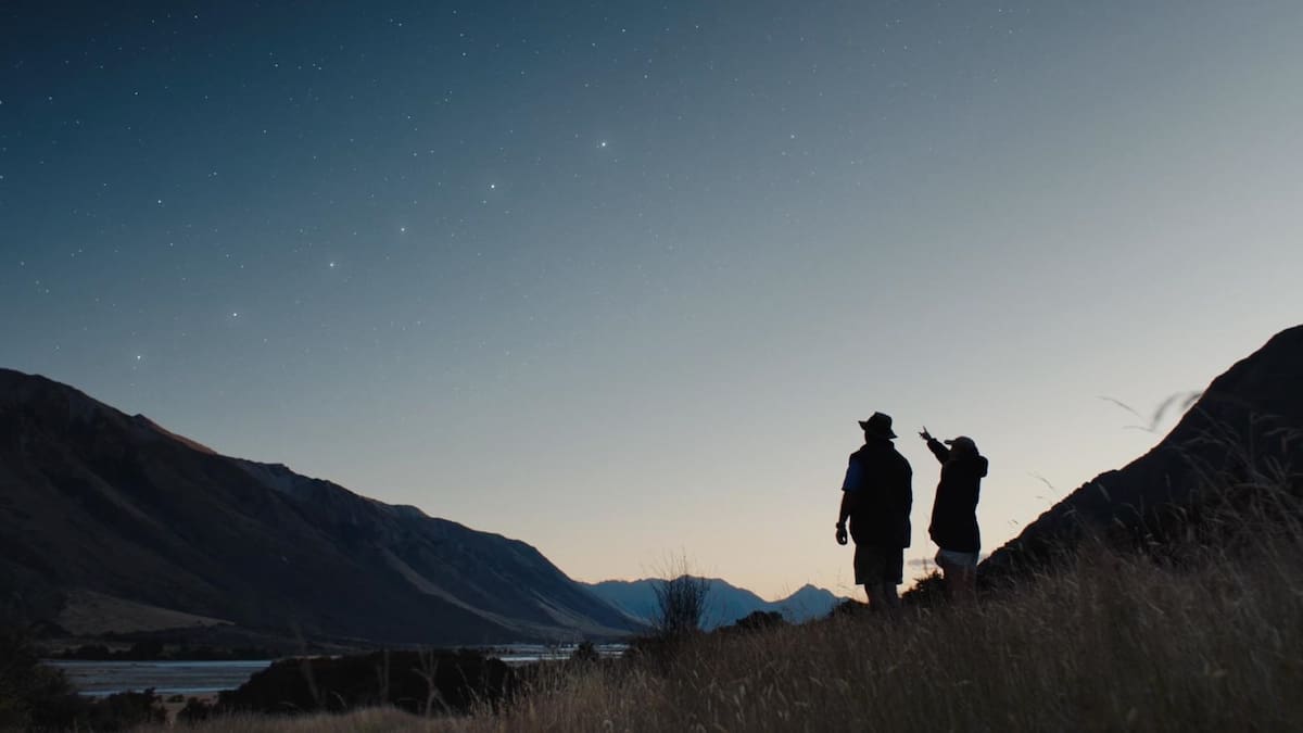 Halter to offer tech boost to cattle farmers 