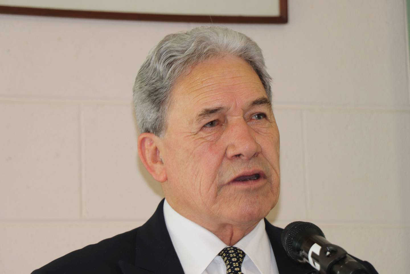 Winston Peters wants to build a new prison solely for gang members. Photo / Dan Hutchinson