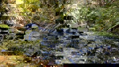 The effects of climate change are likely to exacerbate constraints on water availability, said Waikato Regional Council science manager Dr Mike Scarsbrook.