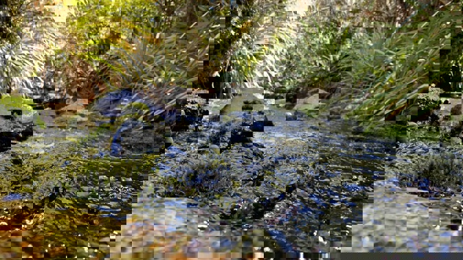 The effects of climate change are likely to exacerbate constraints on water availability, said Waikato Regional Council science manager Dr Mike Scarsbrook.