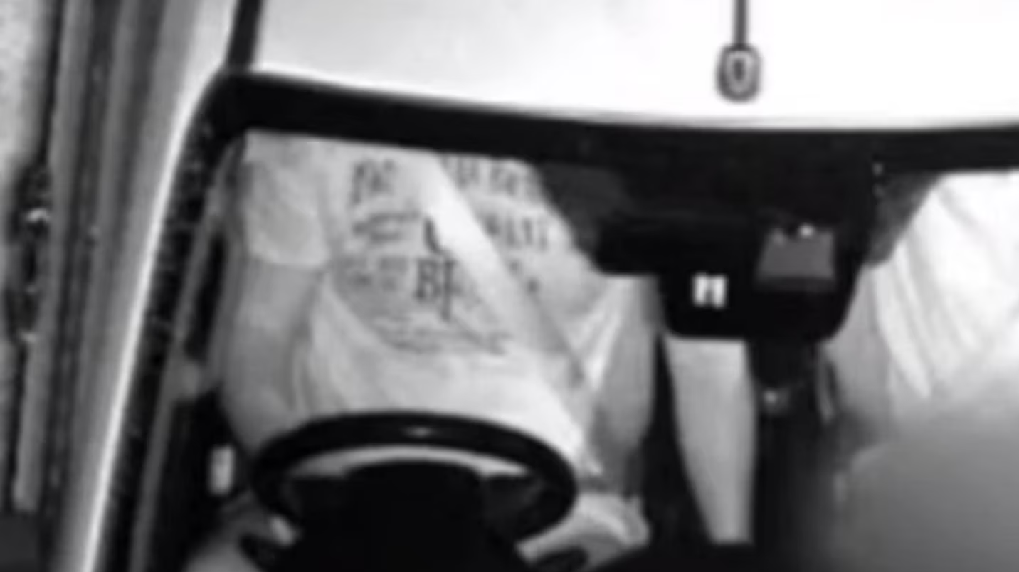 Richard Arnold, seen on the left, and Anh Nyugen say this photo exposed her underwear. Picture / Nine News