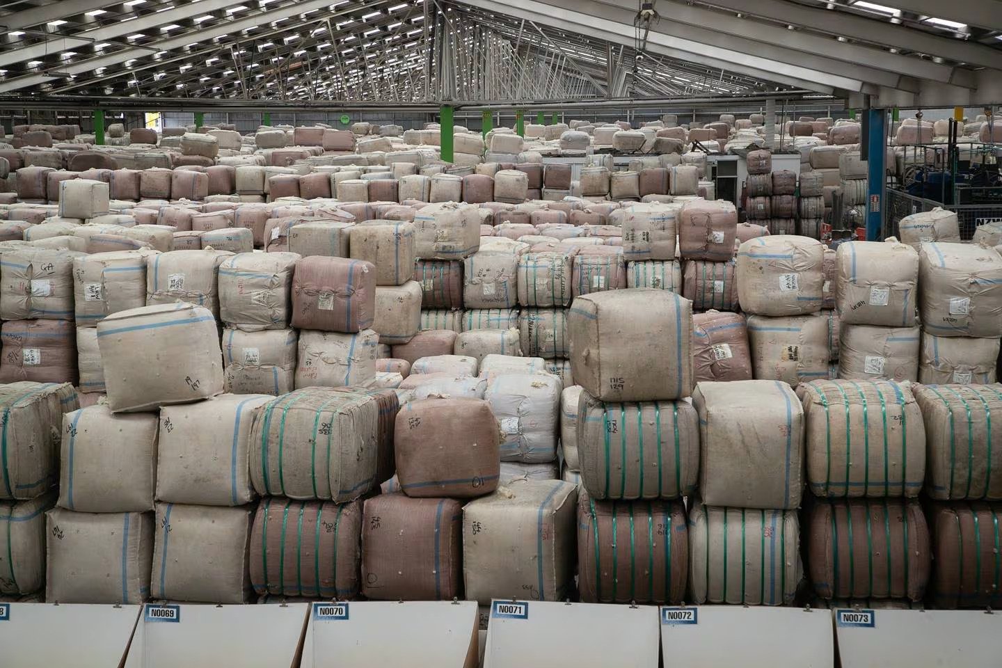 PGG Wrightson's Napier wool store is "chocka" with wool bales waiting to be scoured. Photo / Warren Buckland