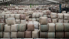 PGG Wrightson's Napier wool store is "chocka" with wool bales waiting to be scoured. Photo / Warren Buckland