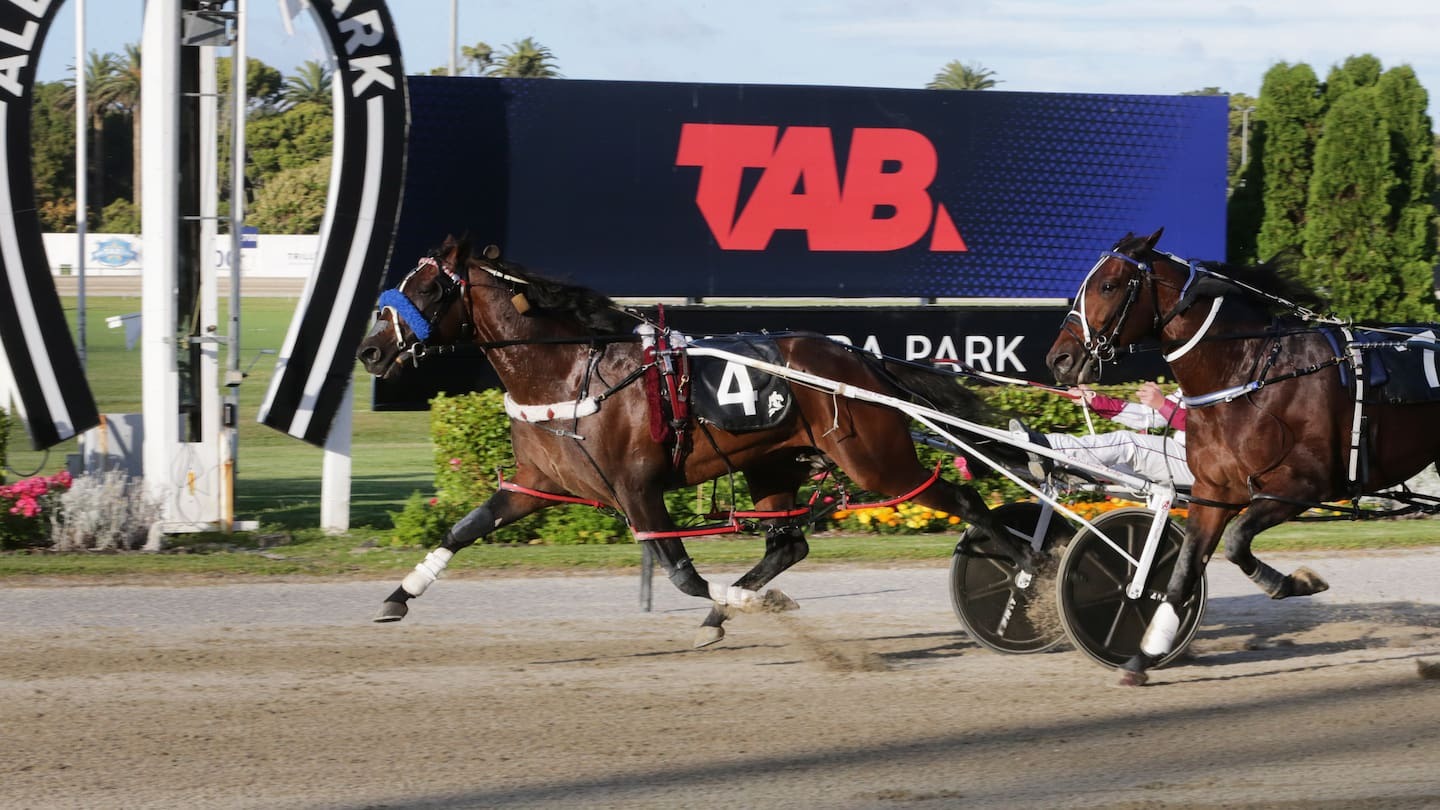 Young racer chases history in NZ Trotting Cup