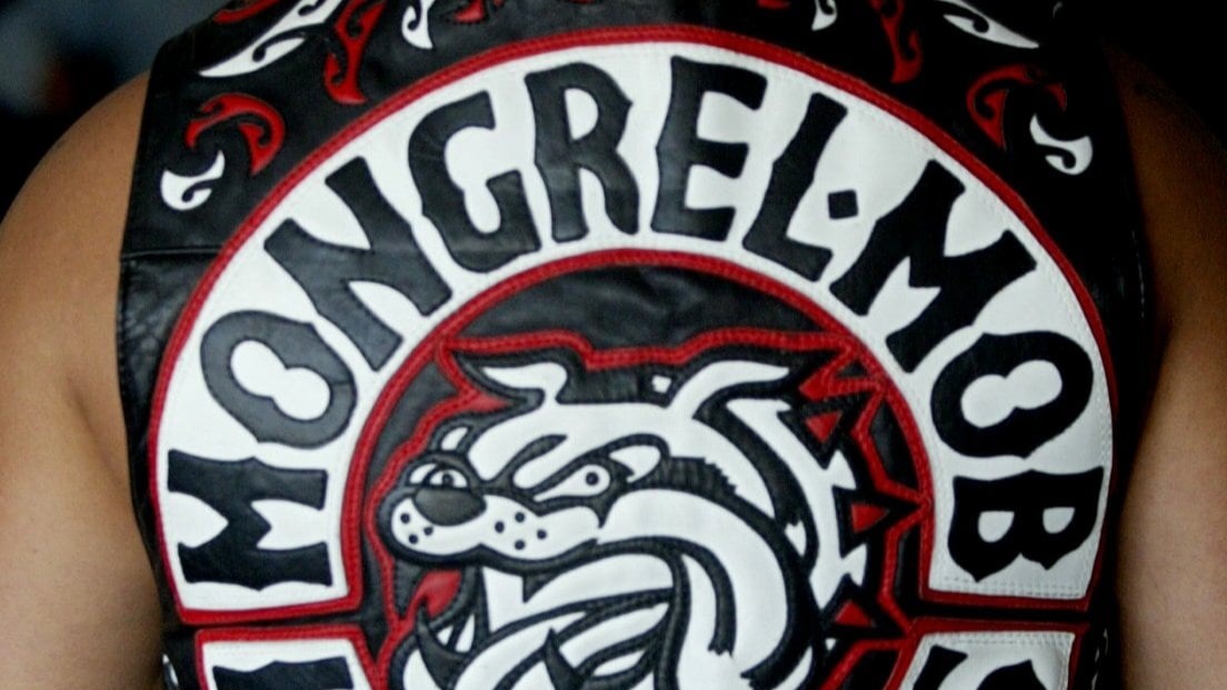 Police raids in the Bay of Plenty, Waikato and Auckland this morning come after a covert investigation into the alleged drug dealing the Mongrel Mob Barbarians chapter.  Photo / Supplied