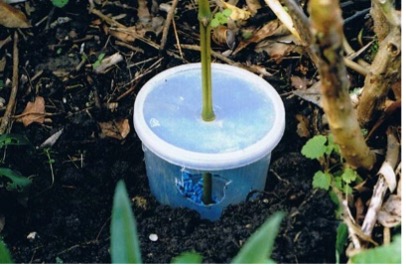 (Photo / Ruud Kleinpaste)