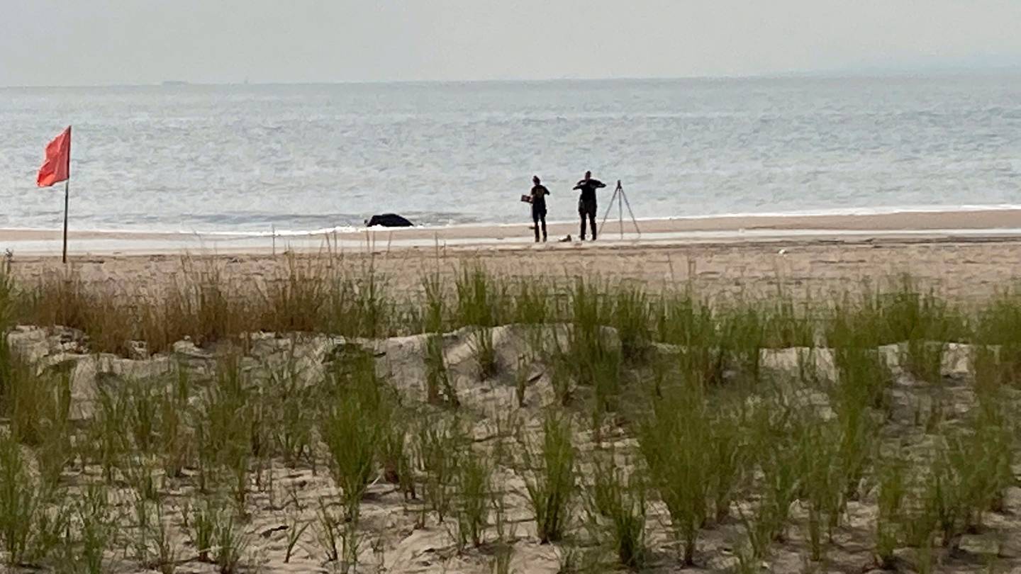 New York police investigators examine a stretch of beach at Coney Island where three children were found dead in the surf. Photo / AP