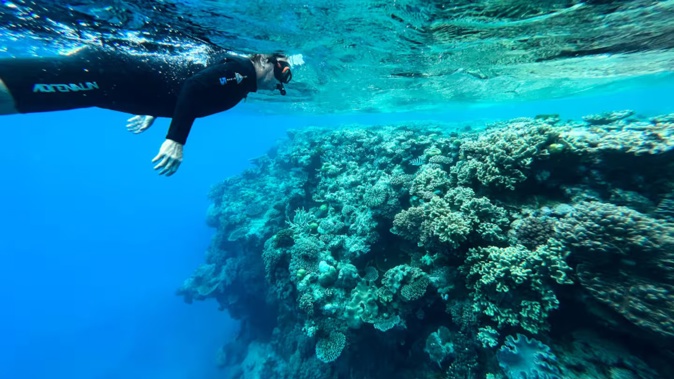 Bleaching events and global warming have done significant damage to the Great Barrier Reef. Photo / the Washington Post via Getty Images