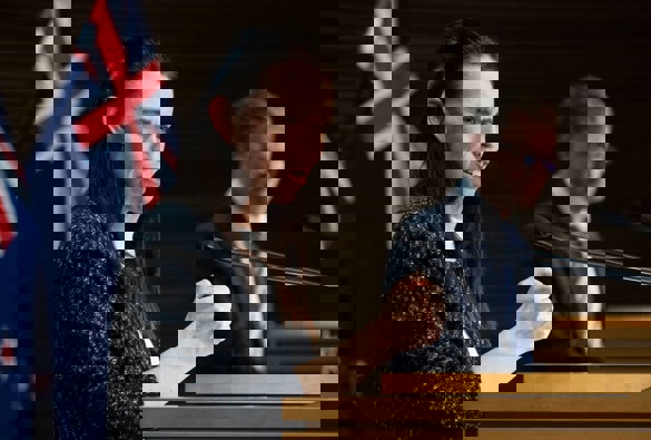 (Photo / Mark Mitchell)