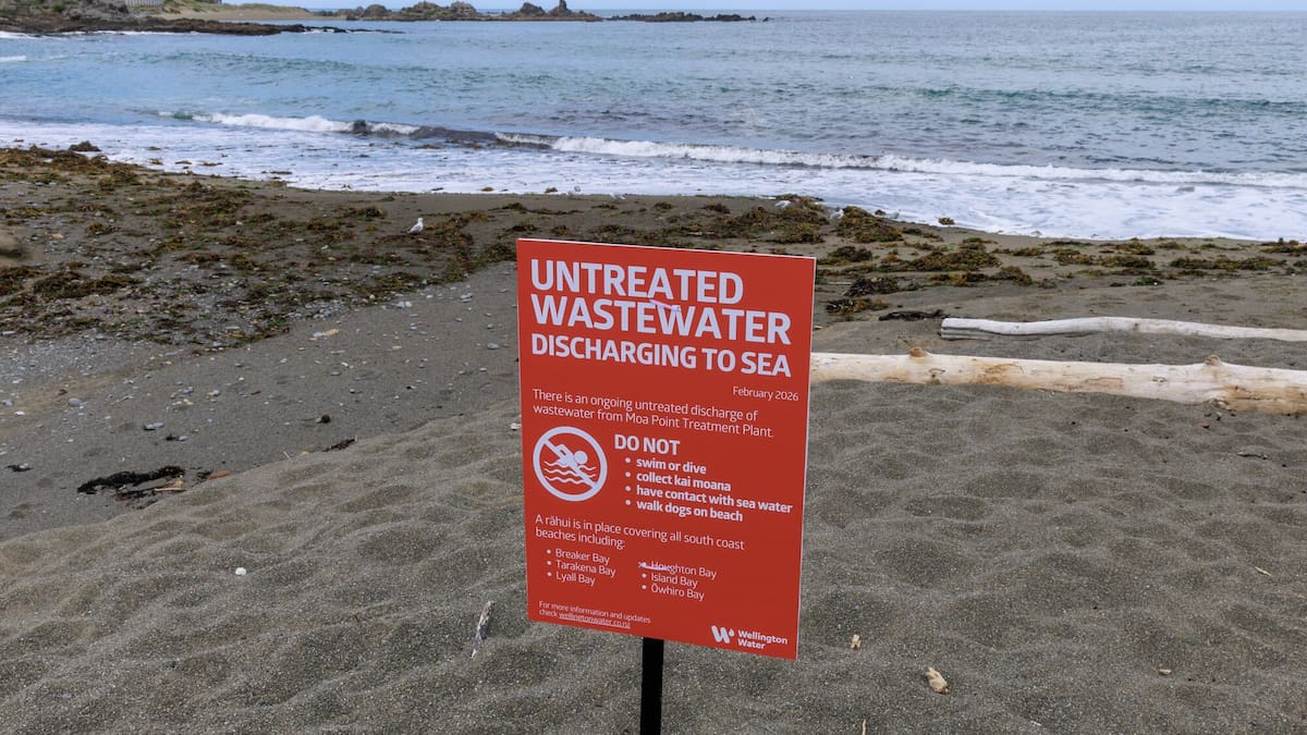Govt announces review into 'completely unacceptable' Wellington sewage plant failure