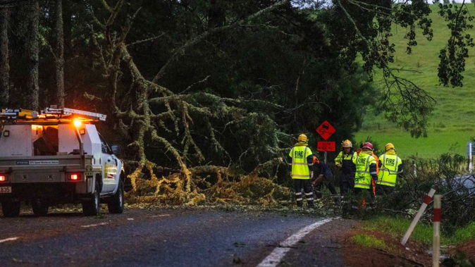 Whitianga volunteer firefighters help clear a downed tree on the road to Tairua as Cyclone Gabrielle smashes into the Coromandel with strong winds and rain. Photo / Mike Scott