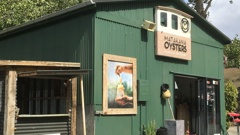 The famous Matakana Oyster Shack. Photo / Supplied