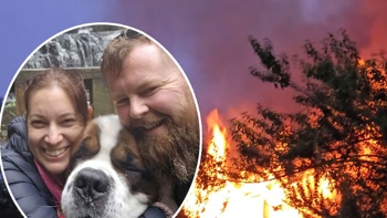 'Angel of a fireman': 87kg St Bernard saved by sandwich in house fire tragedy