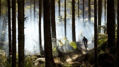 Rotorua's trails attract riders from all over the world. Photo / Graeme Murray