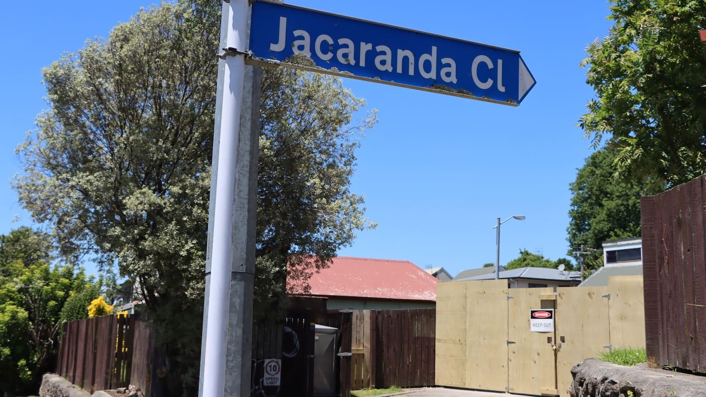 'In shock': Social housing tenant ordered to leave 'uninhabitable' mouldy home