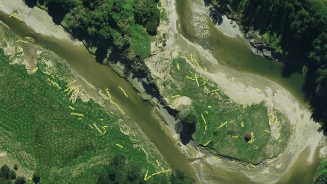 Artificial intelligence was used by the council to help control the woody debris issue in Tairāwhiti during and after heavy rain events. This image demonstrates how it identifies large pieces of debris. Picture / Gisborne District Council