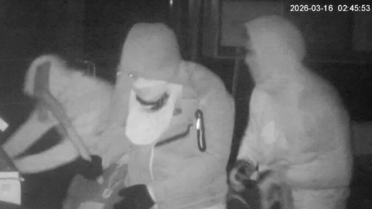 Bumbling burglars 'didn't know what they were doing' in destructive jewellery heist