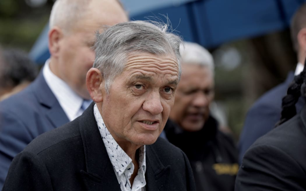 Celebrations at Tūrangawaewae Marae this week will mark the 18th year of Kīngi Tūheitia's position as head of the Kīngitanga. Photo: RNZ / Dan Cook