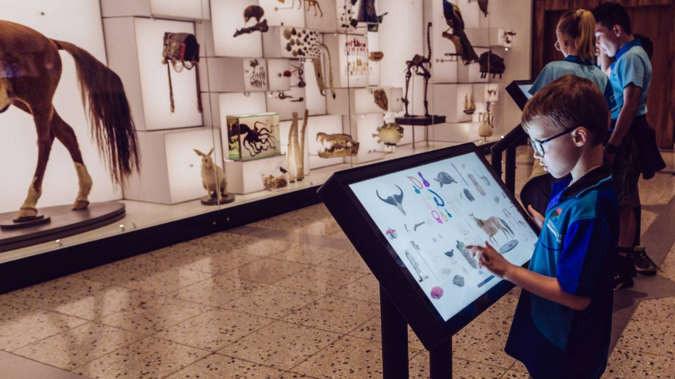 Auckland Memorial Museum is among a raft of museums and galleries offering online activities for the school holidays. (Photo / Supplied)