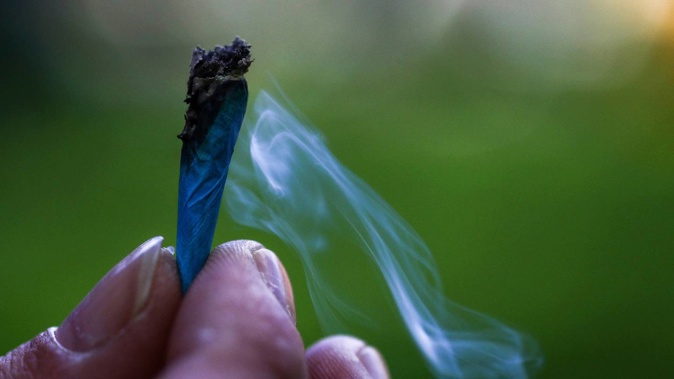 Medical cannabis advocates say ACC is forcing some people into the black market to illegally purchase cannabis to help relieve pain. Photo / NZME