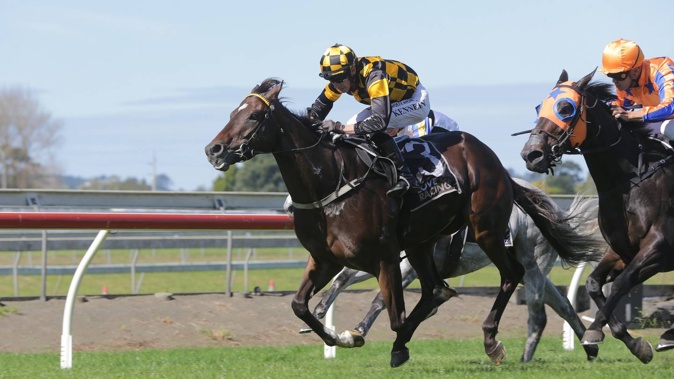 Warren Kennedy Winning On Board Habana At Pukekohe. Photo / Trish Dunell