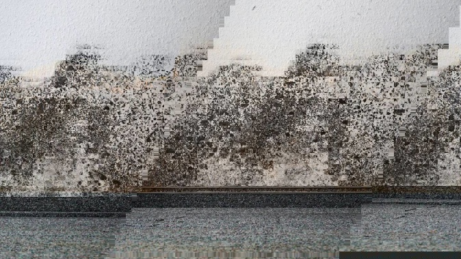 The rental property was so mouldy that the tenants' possessions had to be destroyed. (File photo, not of the actual property)