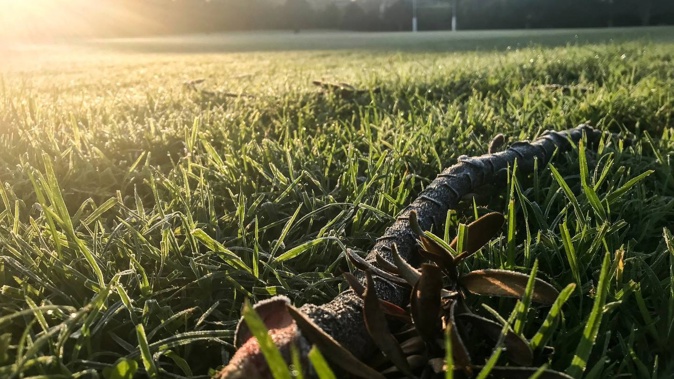 Temperatures dropped to a record low this morning. Photo / Alex Robertson
