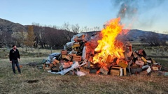 Springbank farm had to destroy 10,000 bee boxes over the weekend.