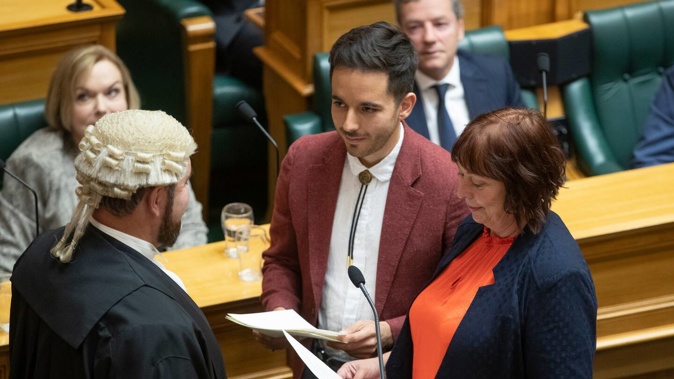 Green MP Ricardo Menendez March took offence to the remarks. Photo / Mark Mitchell