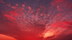Dee Harrison thought the early morning lights she saw were the aurora borealis but they turned out to be from a tomato farm. Photo / 123rf