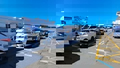 Queues of vehicles at the Bluebridge terminal in Wellington. Photo / Supplied