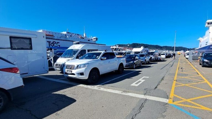 Queues of vehicles at the Bluebridge terminal in Wellington. Photo / Supplied