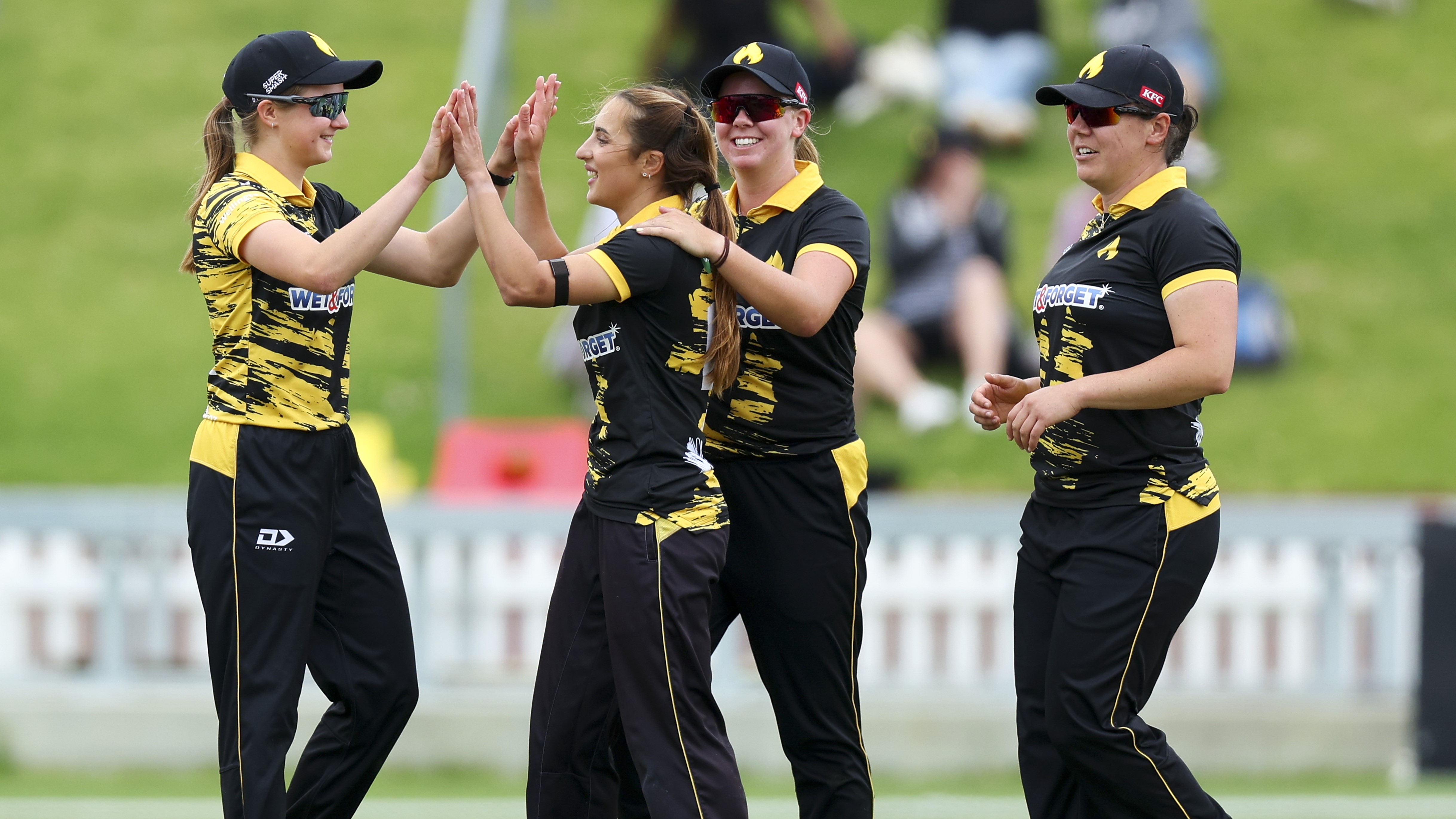 Both Basin Reserve and Hnry Stadium could play a role in NZ20 domestic T20 league