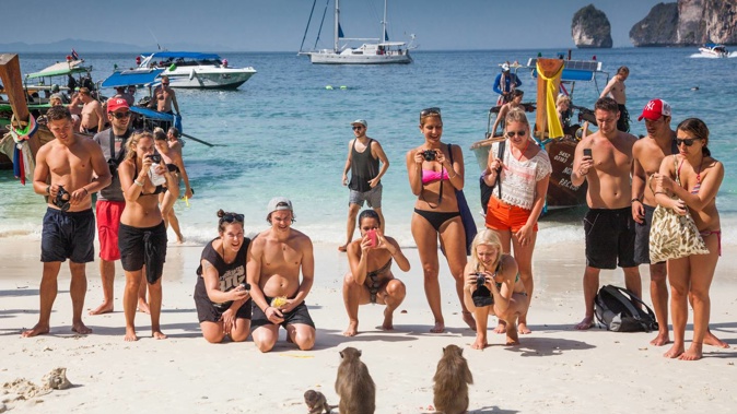 The crab-eating macaques are a big tourist draw on the Ko Phi Phi Islands, in Thailand. Photo / 123RF