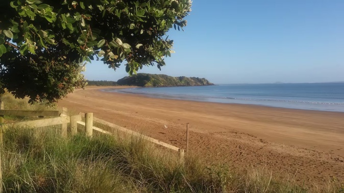 Local residents are urging each other to avoid Taipā Beach or carry weapons due to stray and off-leash dogs.